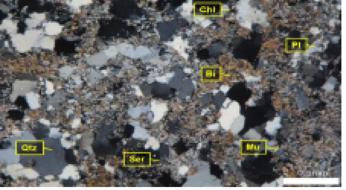 호상편마암 Cross nicol