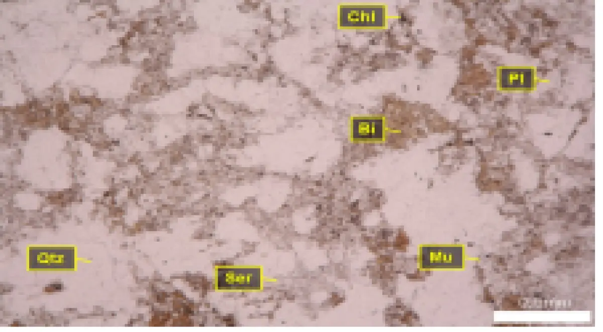 호상편마암 Open nicol