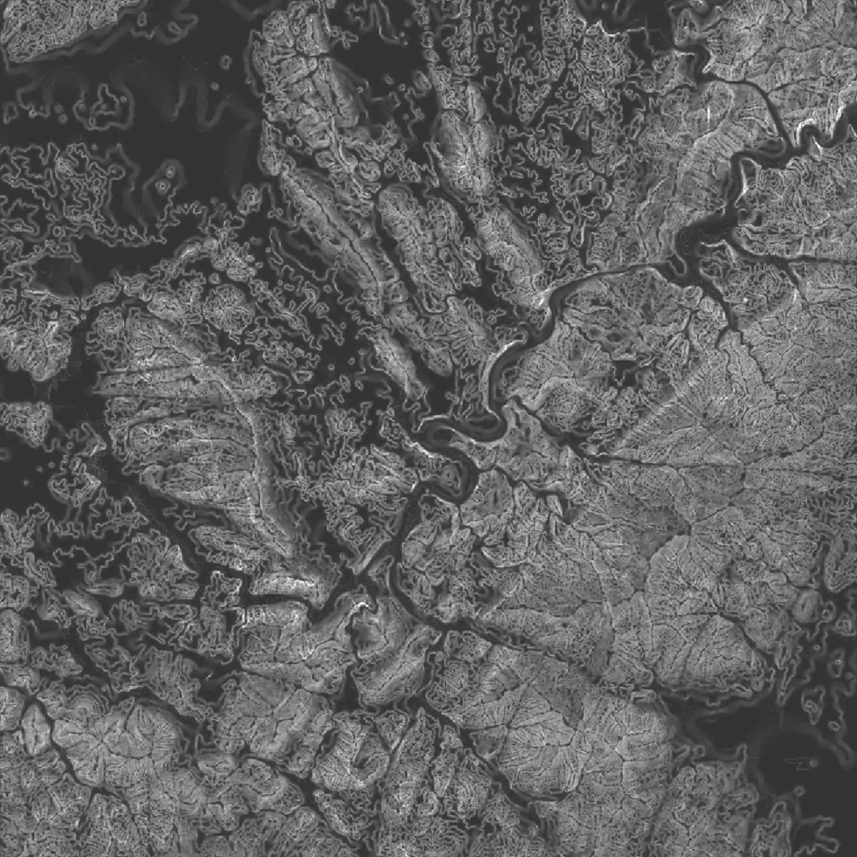 Differential Integral